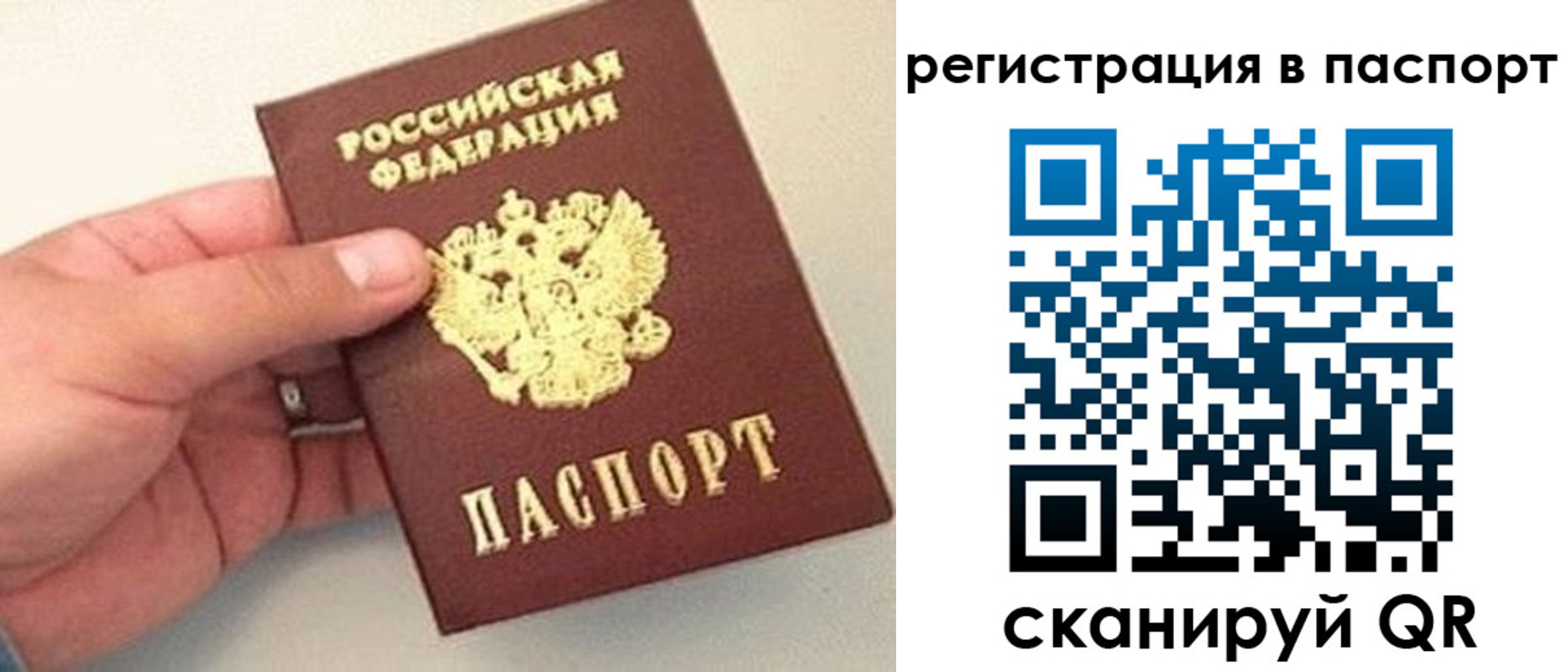 прописка законно в Барыше